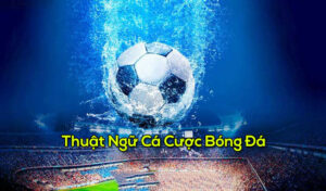 thuat-ngu-bong-da-2