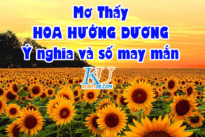 mo-thay-hoa-huong-duong