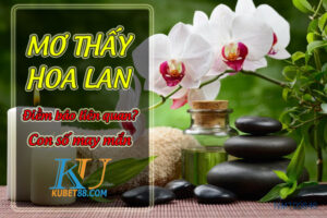 mo-thay-hoa-lan