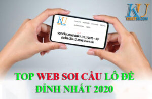 web-soi-cau-lo-2