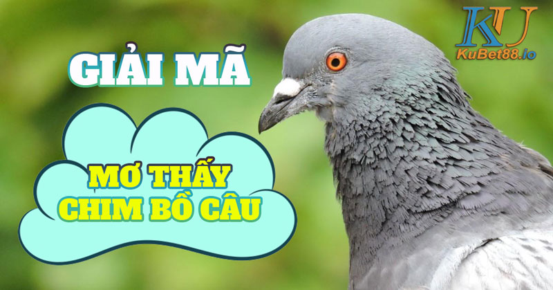 MO-THAY-BO-CAU2