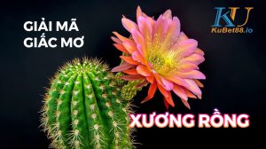 mo-thay-xuong-rong2